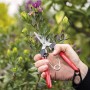 Felco Ernteschere 322 schneidet Blüte. Gartenschere mit Stahlgriffen, 19 cm.
