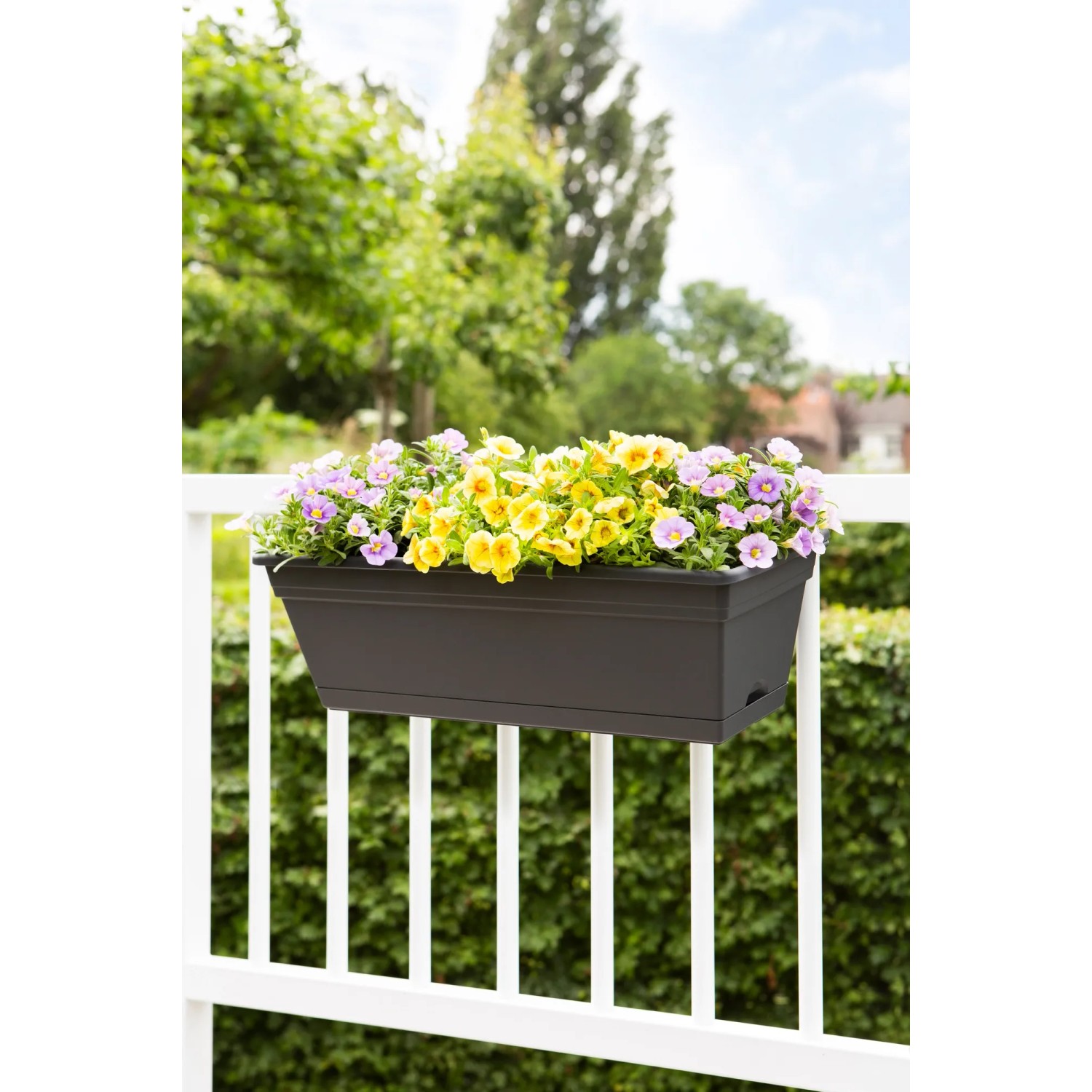 Florus Balkonkasten Set 50 cm anthrazit kaufen bei OBI