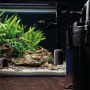 Dennerle Scaper's Flow Außenfilter für Aquarien, mit Ansaugrohr und Filterschwamm, neben bepflanztem Süßwasser-Aquarium.