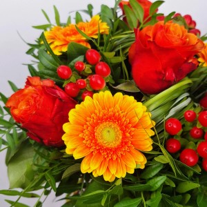 Blumenstrauß Herzensglück mit orangen Rosen, Gerbera, Johanniskraut und frischem Grün.