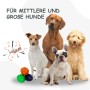 Petsation Kauspielzeug Ball_6