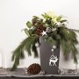Dekorative Christrose (Helleborus Niger) im Topf mit Tannenzapfen und Weihnachtsschmuck.