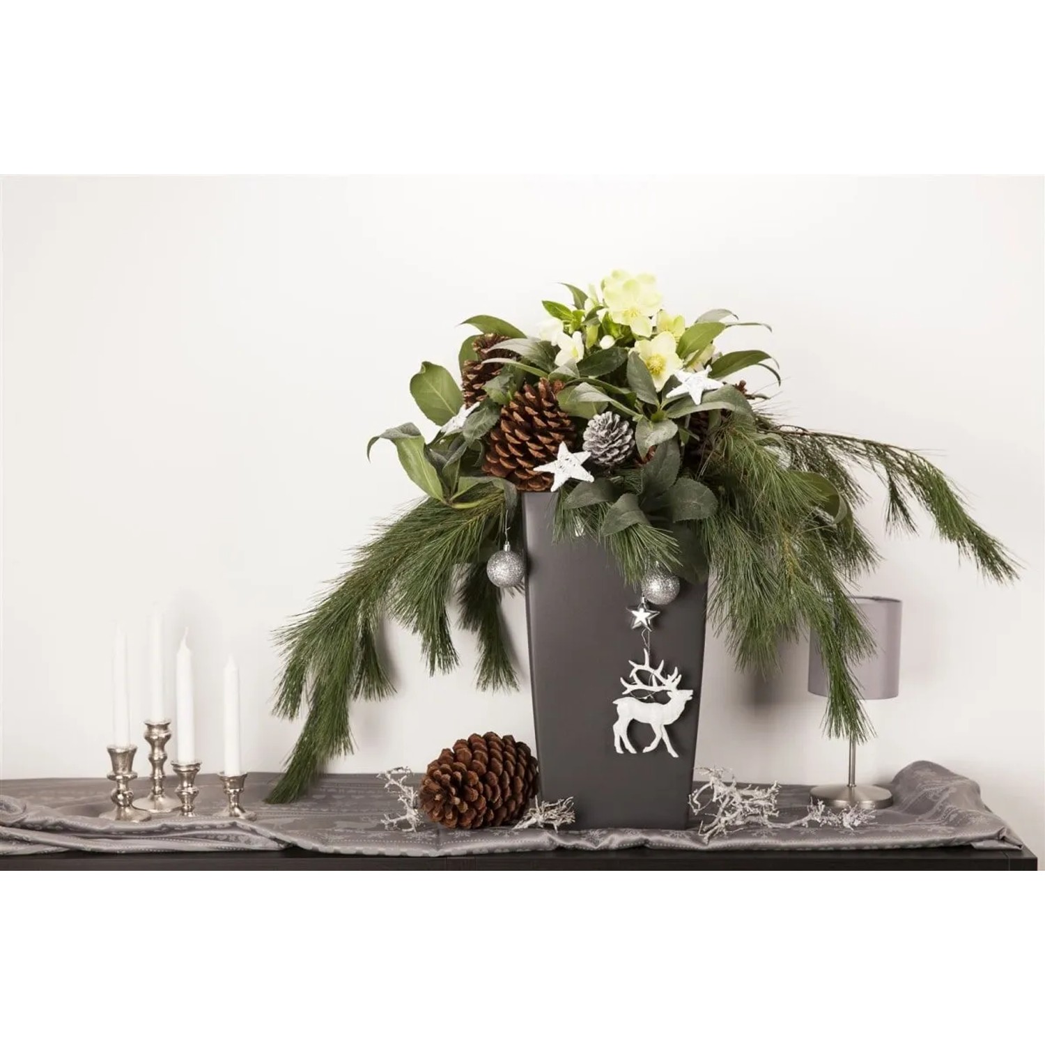 Dekorative Christrose (Helleborus Niger) im Topf mit Tannenzapfen und Weihnachtsschmuck.