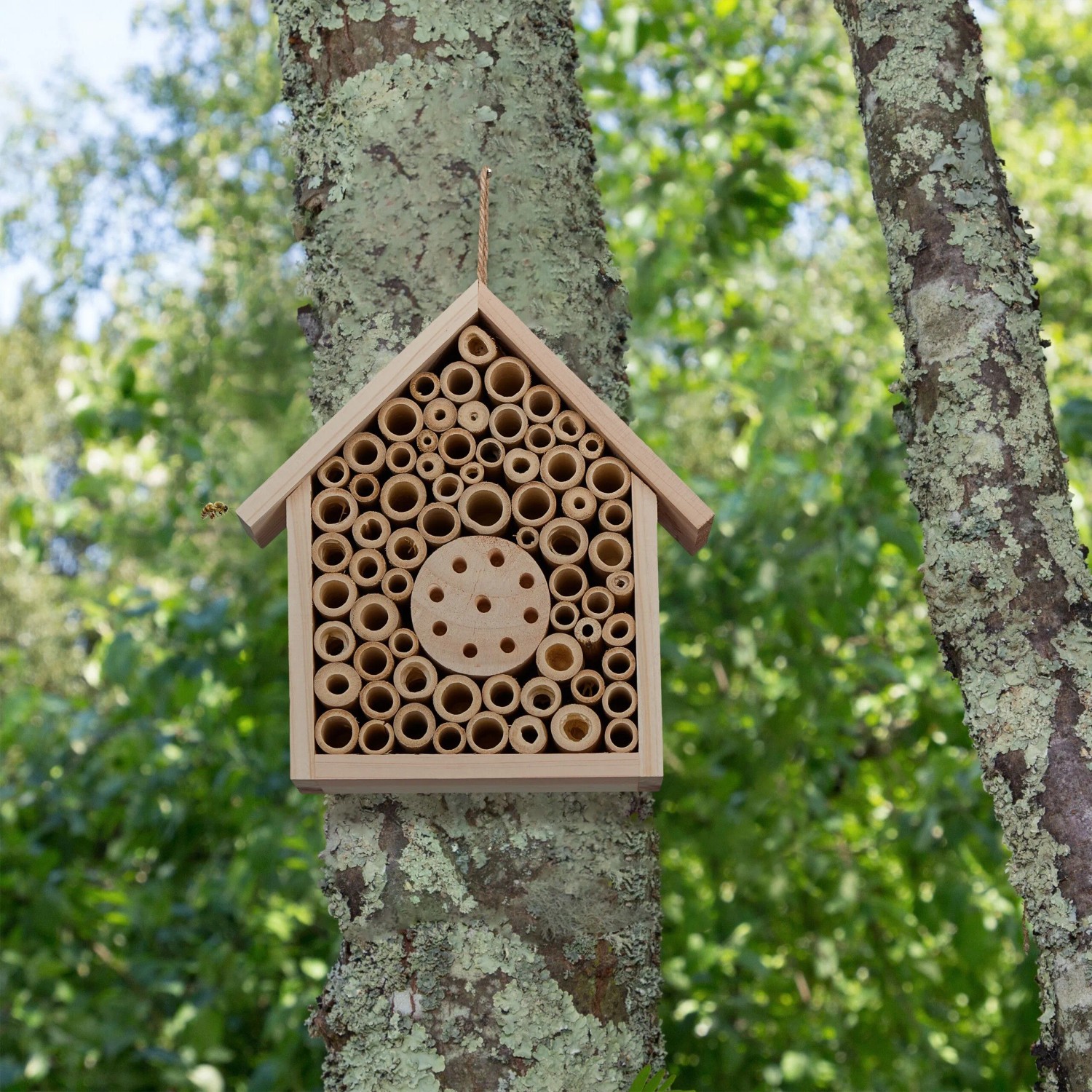 Relaxdays Bienenhotel Holz Bambus Natur Unbehandelt 20,5 cm x 19,5 cm x 8,5 cm_2
