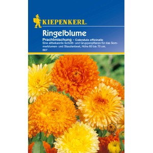 Kiepenkerl Ringelblume Prachtmischung, mehrfarbig. Blumensamen für Beet und Vase.