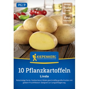 Kiepenkerl Pflanzkartoffel Linda, 10 St