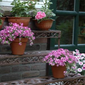 Esschert Design Etagere BPH33: Rechteckiges Pflanzenregal aus Gusseisen mit drei Ebenen und Blumen.