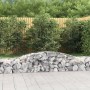 15er Set vidaXL Gabionen mit Hochbogen, 400x50x40/60cm, aus verzinktem Eisen, befüllt mit Steinen im Garten.