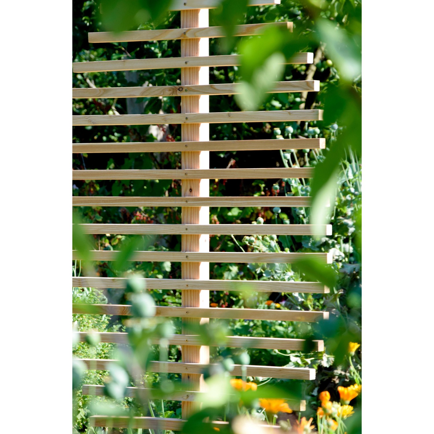 Dobar Rankhilfe Blattform, 160 cm, aus Lärchenholz für Kletterpflanzen im Garten.