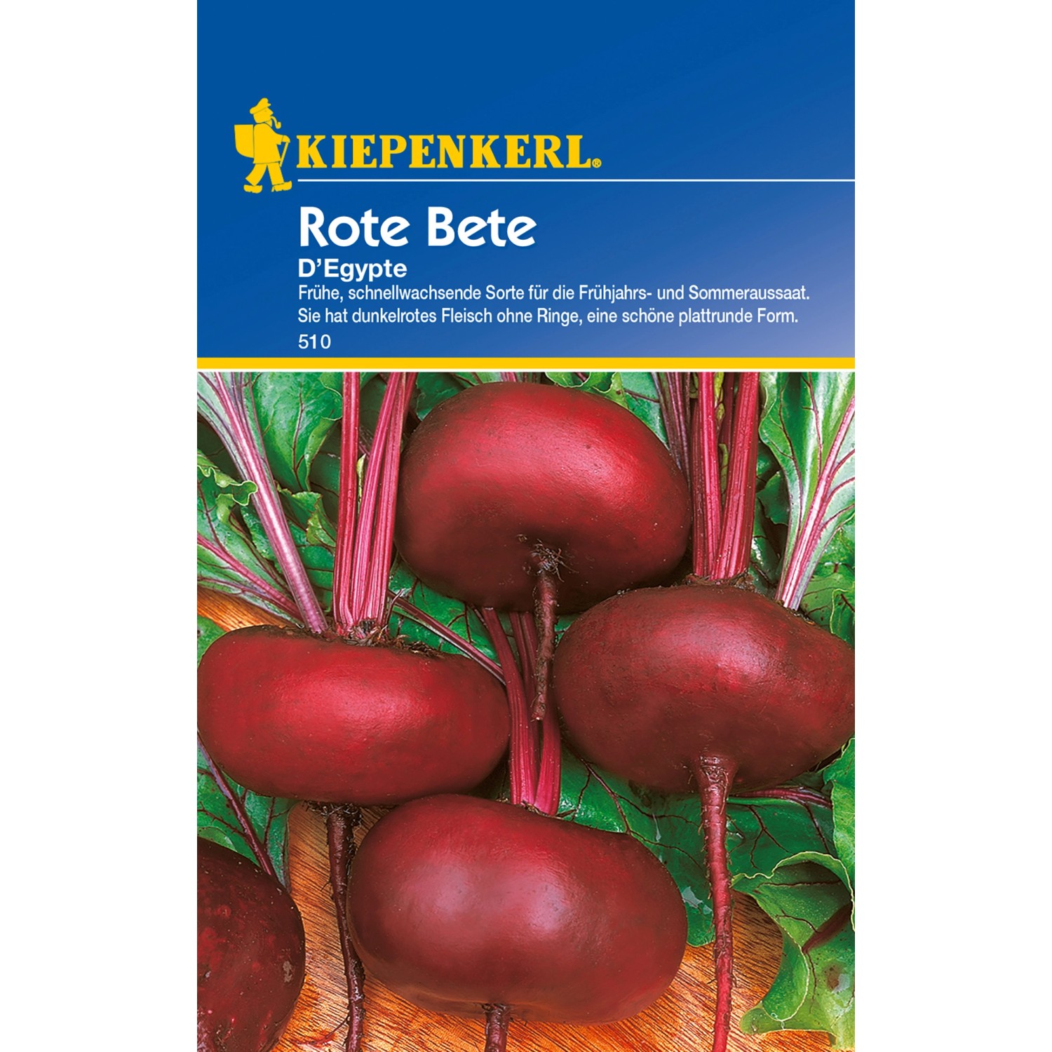 Kiepenkerl Rote Bete "D´Egypte" kaufen bei OBI