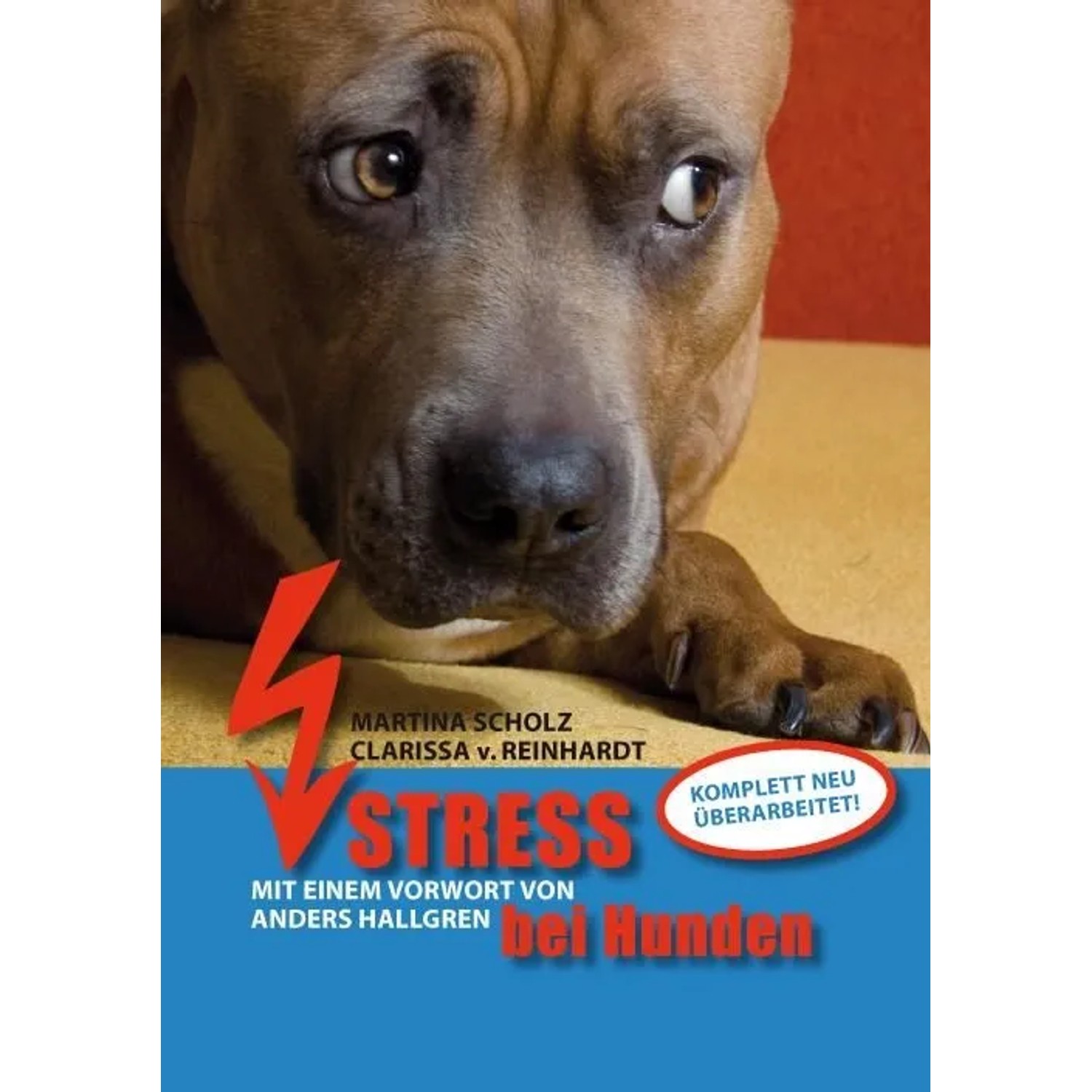 Thumbnail - Stress bei Hunden