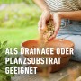 Compo BIO Granuplant® Pflanzgranulat wird in eine Schale gefüllt. Geeignet als Drainage oder Pflanzsubstrat.