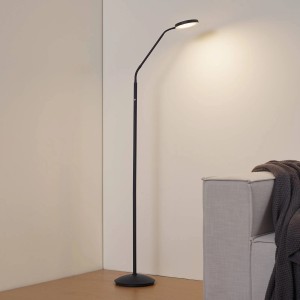 Lindby LED Stehlampe Elvyn 10041962 Dimmbar Modern in Schwarz aus Metall 1-flammig Wohnzimmerleuchte