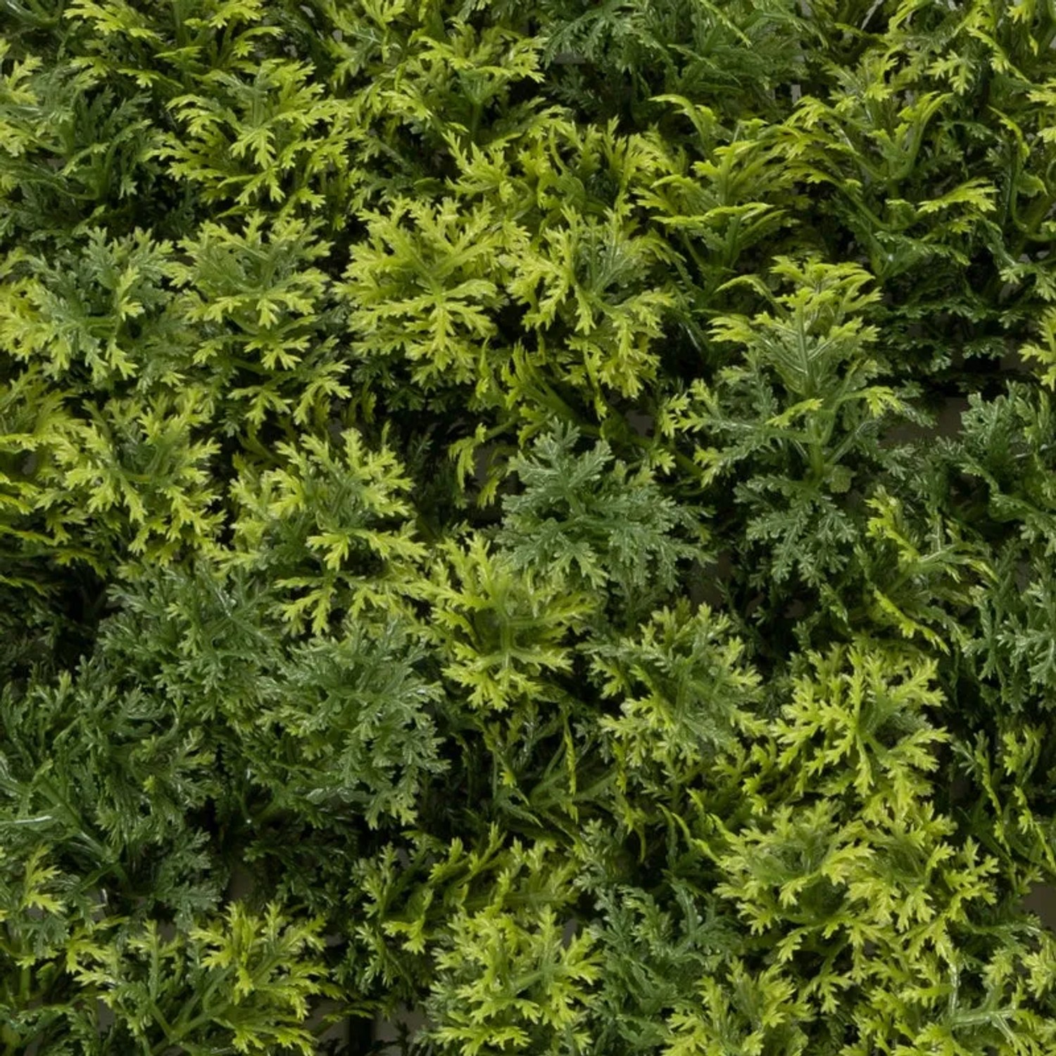KARAT knstliche Pflanzenwand Houttuynia-cordata 50 x 50 cm kaufen bei OBI