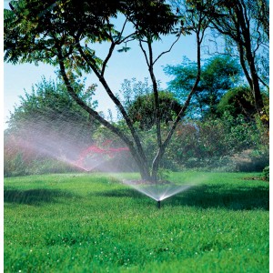 Gardena Versenkregner S 80 im Einsatz: Rasenbewässerung mit Sprinkler-System im Garten.
