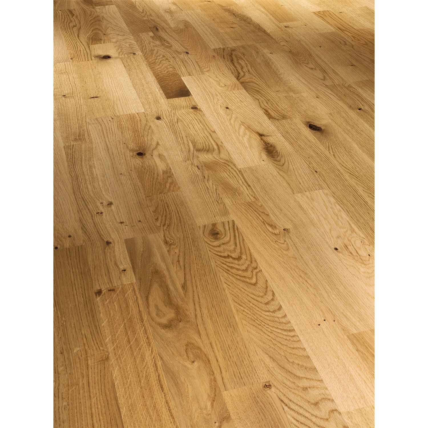 PARADOR Parkett Basic Rustikal - Eiche astig, lackiert, Packung, ohne Fuge, 2200 x 185 mm, Stärke: 11,5 mm, 4,07 m²