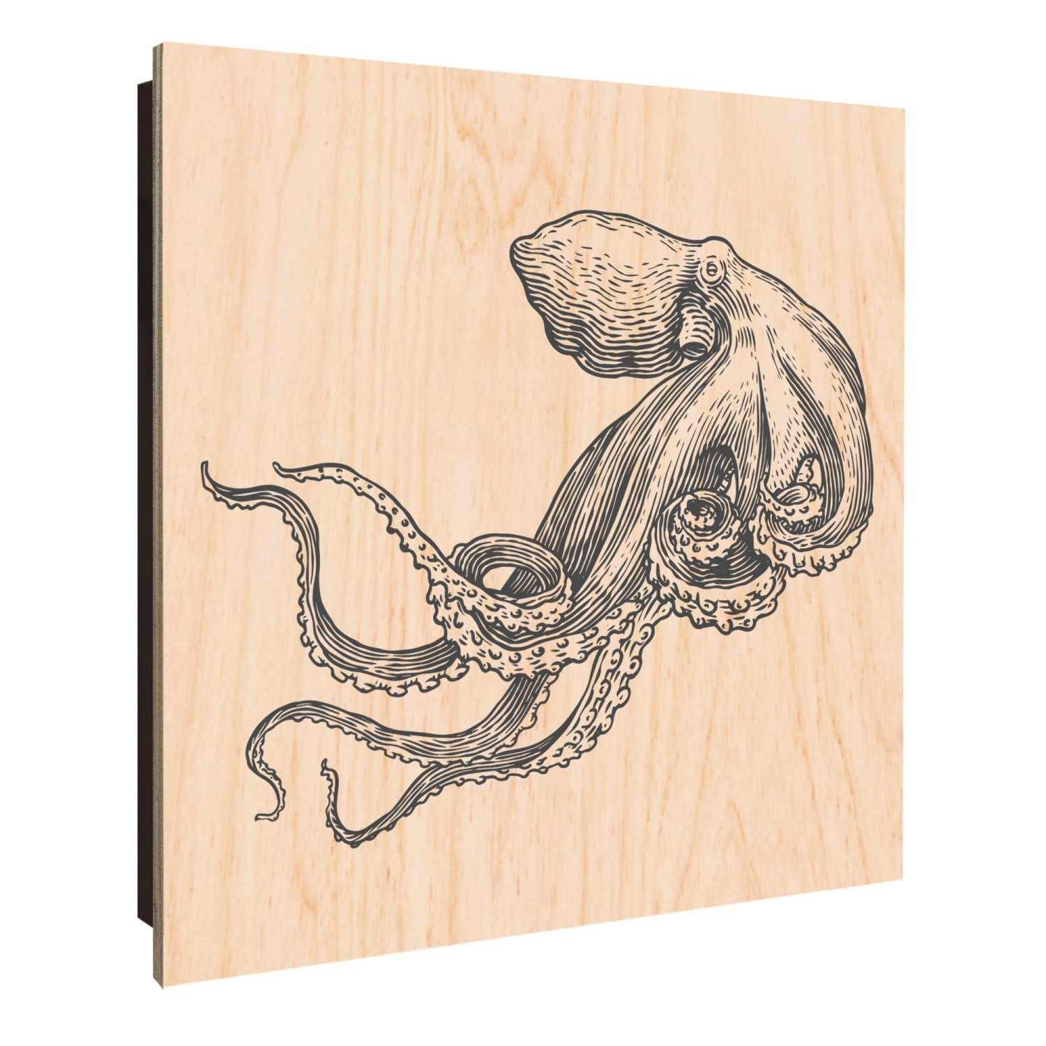 Banjado Großer Schlüsselkasten Holz 30x30cm Schwarz Scharnier Links 50 Hake günstig online kaufen