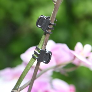 Floraworld Orchideenclips, 10er-Set, anthrazit, zur Befestigung von Orchideen an Stäben.