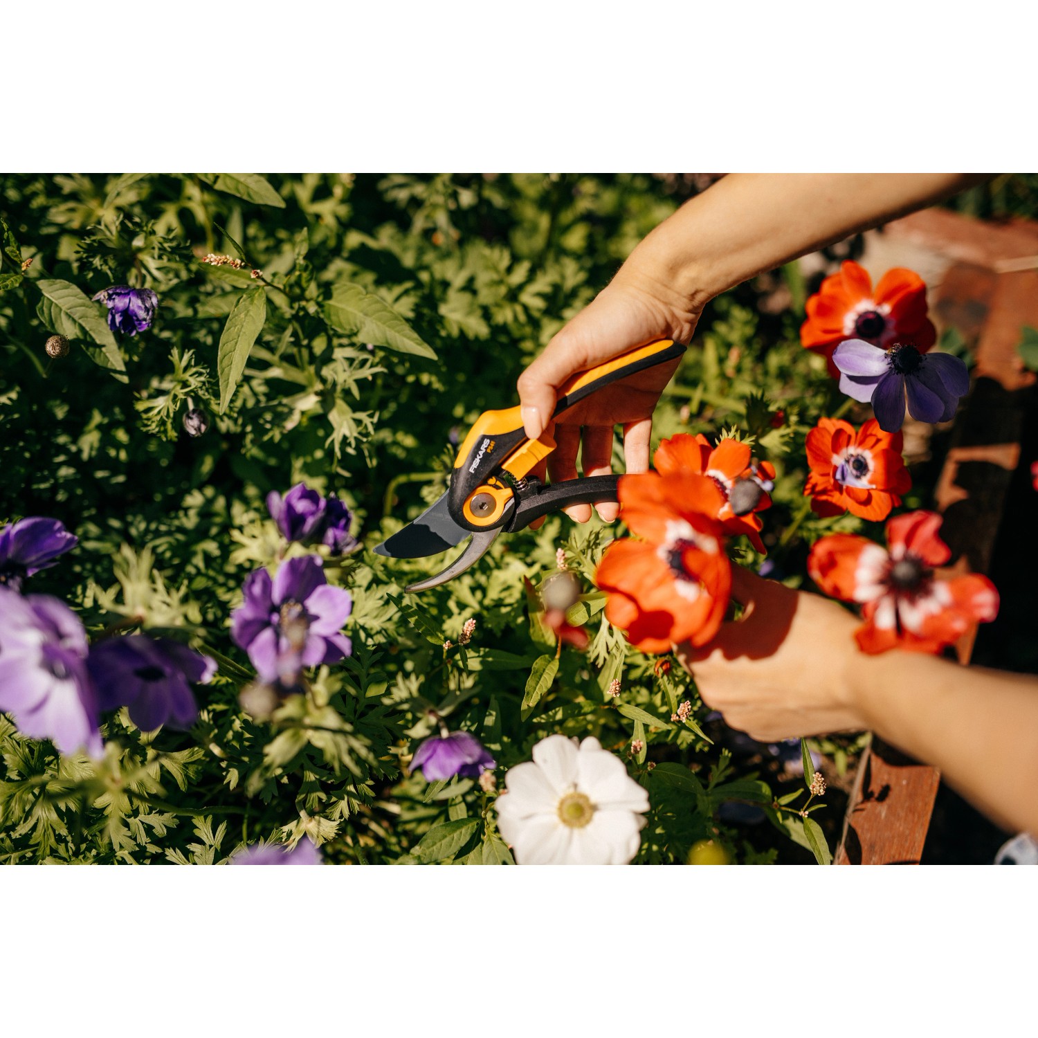 Fiskars Gartenschere Plus SmartFit P541 im Einsatz beim Blumenschnitt.