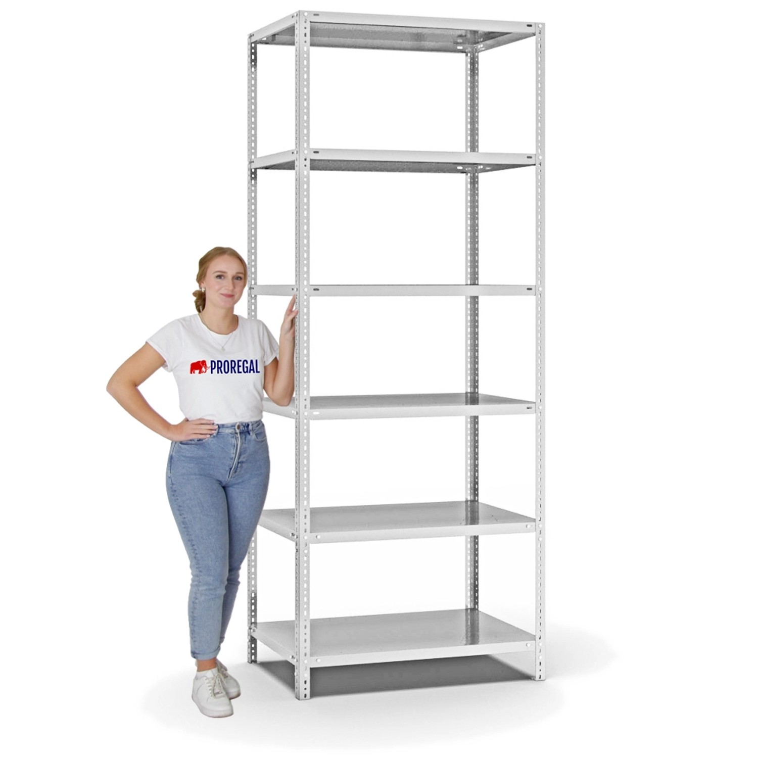 PROREGAL Fachbodenregal, Schraubsystem, lichtgrau, 6 Böden, 250x100x60 cm, beidseitig nutzbar.