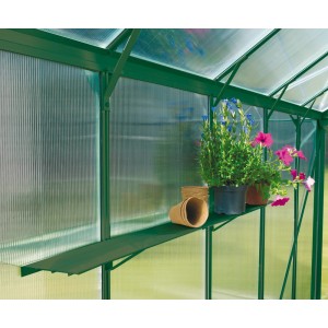 Grünes Aluregal (121,5 cm) im Gewächshaus mit Pflanzen.