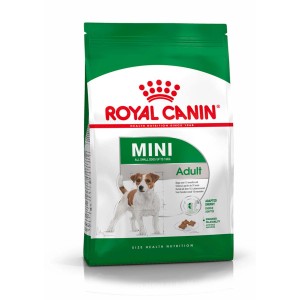 Royal Canin Mini Adult Trockenfutter für kleine Hunde, 8kg Packung.