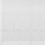 Detailaufnahme der UV-beständigen Folie des Furnicato Gewächshauses, weiße Gitterstruktur.