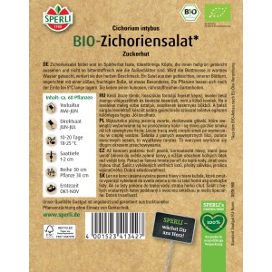 Bio Zichoriensalat Samen von Sperli für den Anbau von Zichorien mit hellgrünen Blättern.