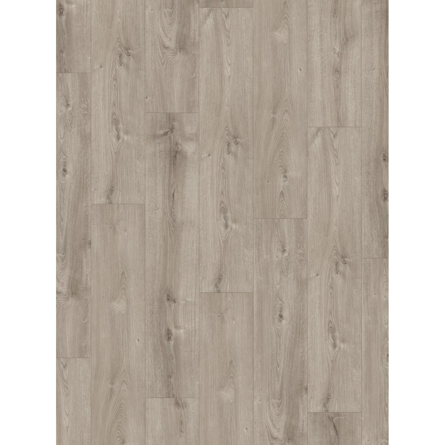 Parador Laminatbodenmuster Basic 600 Eiche Valere Grau