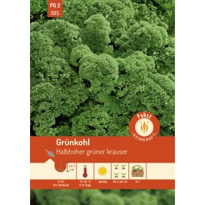 Pabst Keimkraft Grünkohl, halbhoher grüner Krauser, Gemüsesamen für ca. 80 Pflanzen.