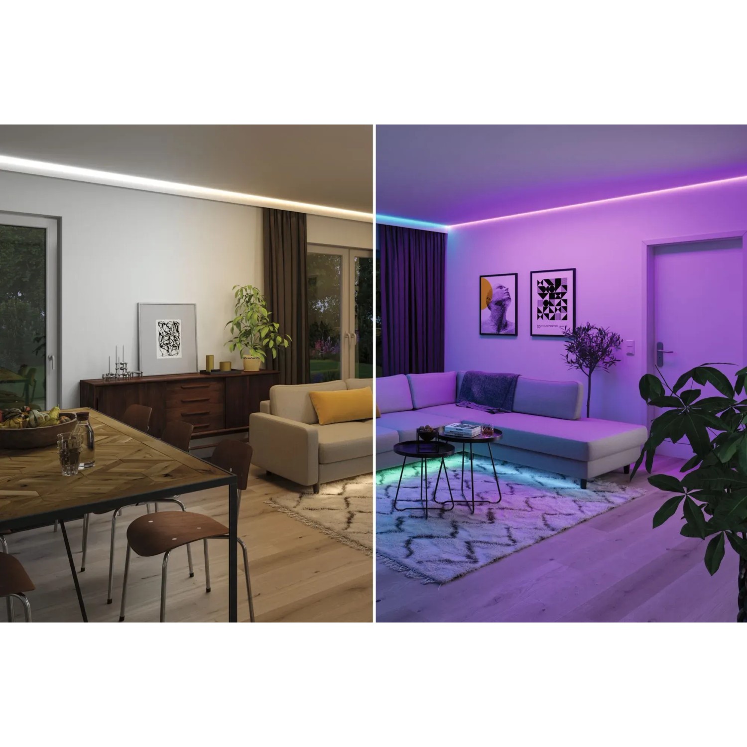 Paulmann MaxLED 1000 RGBW LED-Streifen in Wohnräumen mit Weiß- und Farblicht.