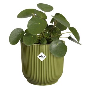Grüner Elho Blumentopf Vibes Fold, rund, Ø 14 cm mit Rillenstruktur und Zimmerpflanze.