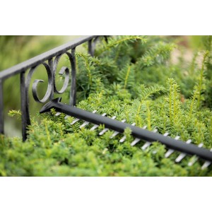 Bosch Akku-Heckenschere Universal Hedge Cut 18-55 im Einsatz an einer Hecke.