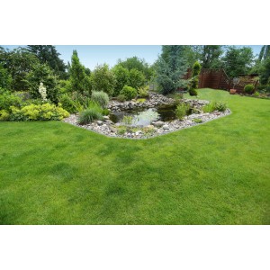 Gartenteich mit Teichnetz 5x4m zum Schutz vor Laub und Verschmutzung.