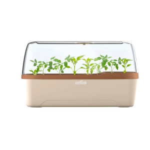Romberg Gewächshaus Boqube L Plus in Creme/Kupferbraun mit jungen Pflanzen unter transparenter Haube.
