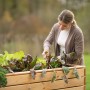 Frau gärtnert im Westmann Hochbeet Holz Fichte XL mit Salat und Gemüse.