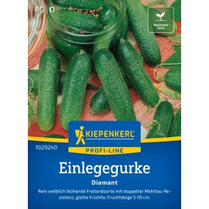Kiepenkerl Einlegegurken Diamant F1 Samen: Frische, grüne Gurken und Saatgutpackung.