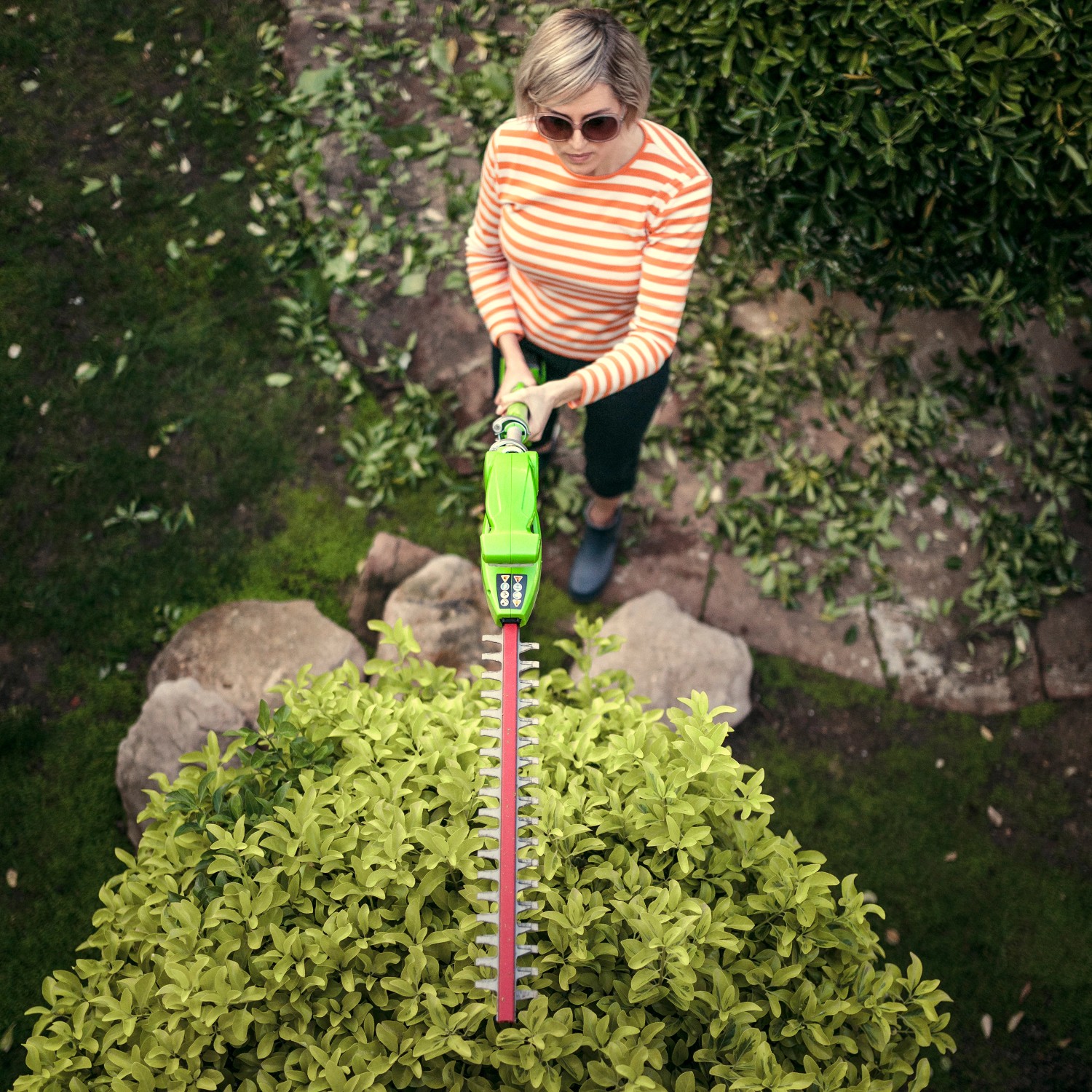 Frau schneidet Hecke mit Greenworks Akku-Teleskop-Heckenschere G40PHA. Akku-Heckenschere im Einsatz.