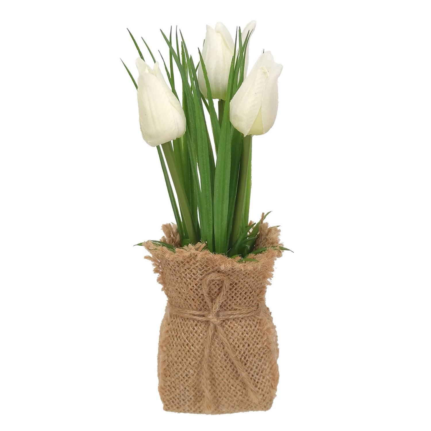 Boltze Topfpflanze Tulip Mittel 19 cm x 5 cm x 5 cm Creme günstig online kaufen