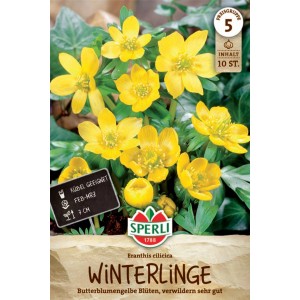 Sperli Winterling Blumenzwiebeln, goldgelbe Blüten auf der Verpackung.