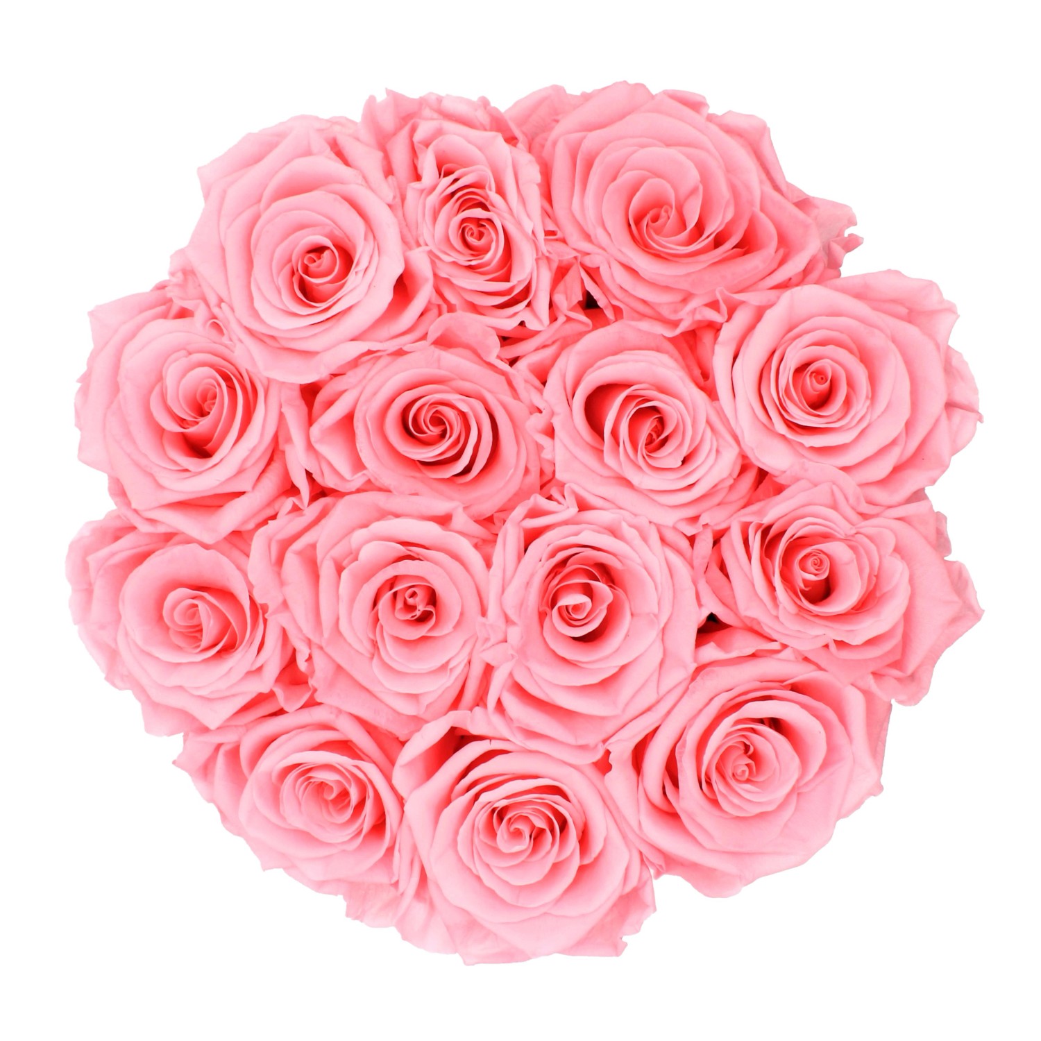 Rosenbox mit 14 rosa Rosen und weißer Schleife, Durchmesser 19 cm.