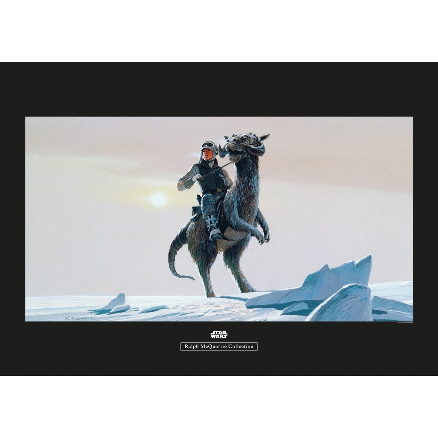 Komar Wandbild Star Wars Tauntaun 70 x 50 cm