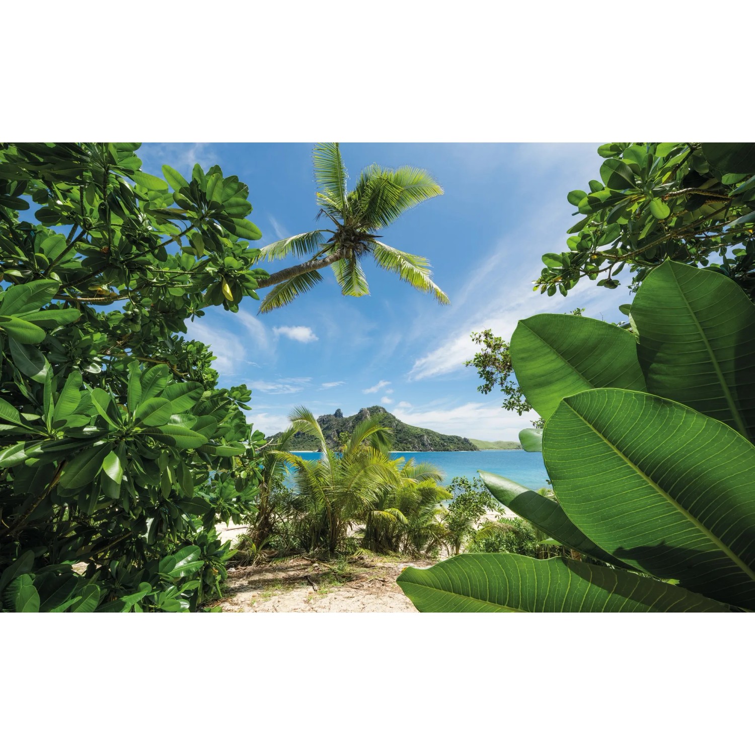 Vlies Fototapete Cast Away Jungle