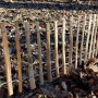 Aquagart Staketenzaun aus Haselnussholz, 60cm hoch, mit verzinktem Draht verbunden.