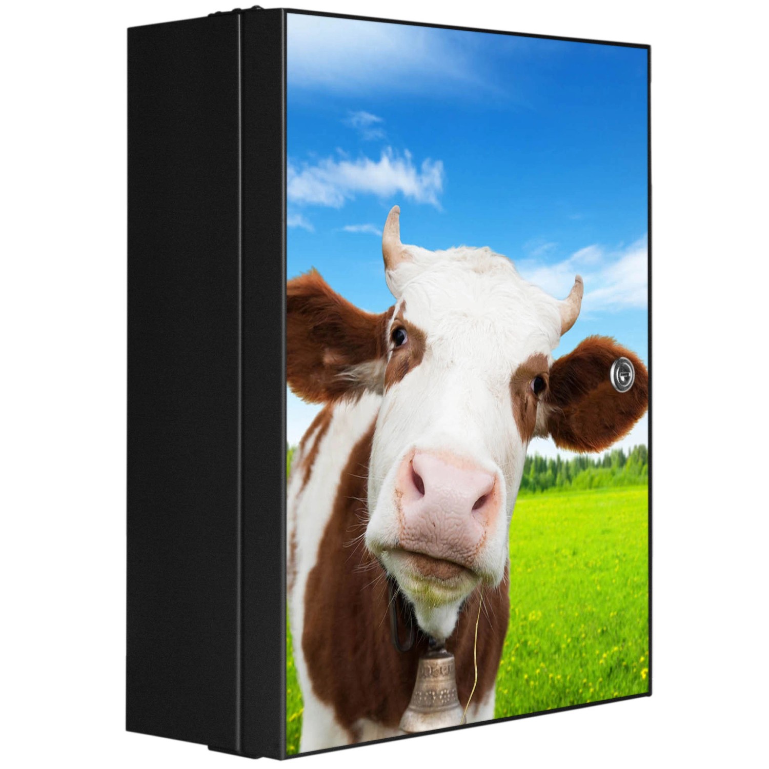 Banjado XXL Medizinschrank Abschliessbar 35x46x15cm Arzneischrank Anthrazit günstig online kaufen