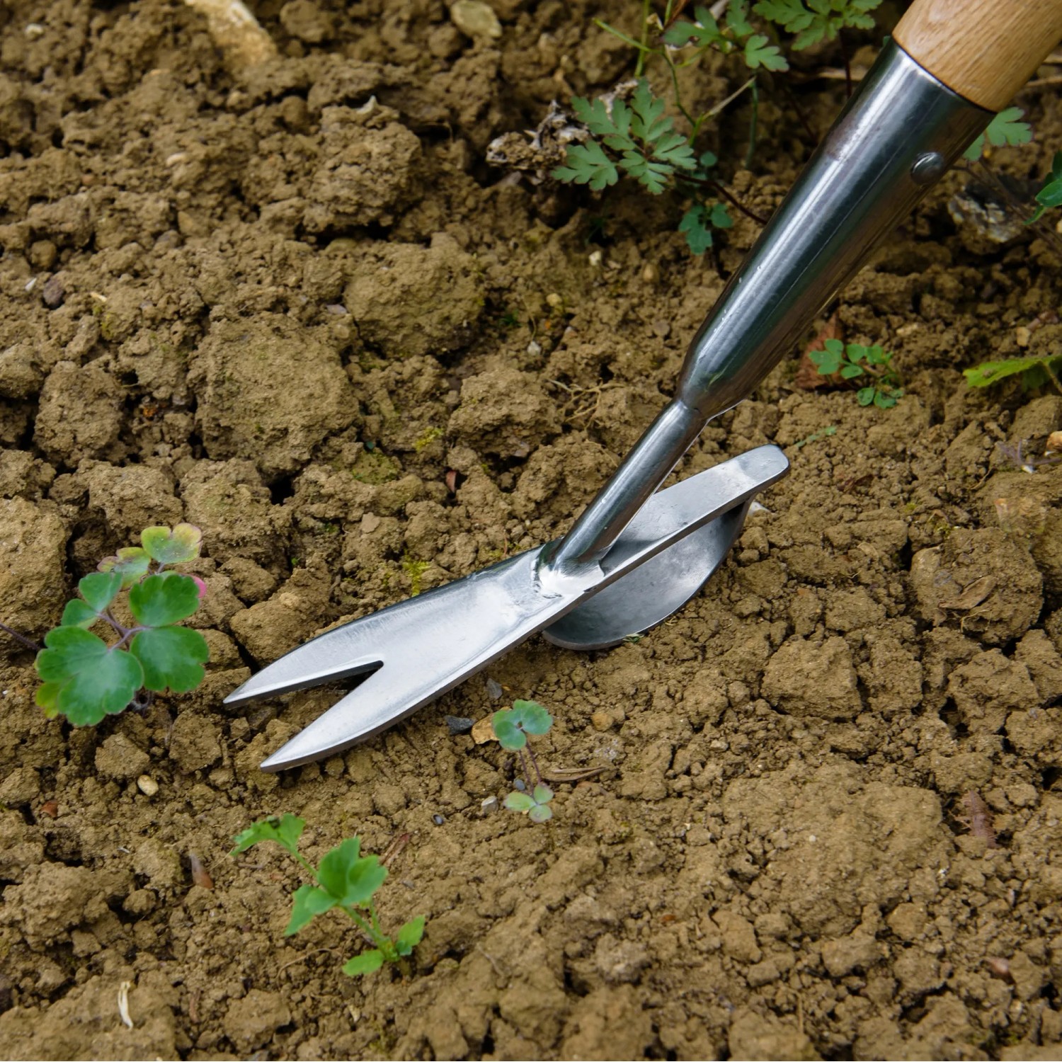 Kent & Stowe Wurzelstecher im Einsatz: Gartenhandgerät zum Unkraut entfernen.