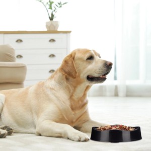 Relaxdays Hundenapf Kunststoff Schwarz Anti Schling Rutschfest 23,5 cm x 5,5 cm 900 ml