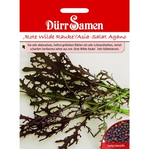 Dürr Samen Rote Wilde Rauke Asia-Salat Agano Saatgut Packung mit roten Blättern.