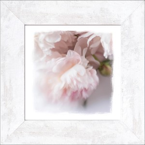 Bild mit Rahmen: Zarte rosa Blüten im Landhausstil, 44x44 cm. Wanddeko für Wohnzimmer.