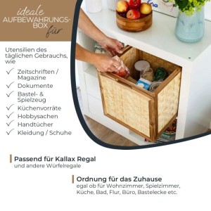 HMF Aufbewahrungskorb aus Rattan mit Wiener Geflecht und Akazienholzrahmen im Kallax Regal. Für vielseitige Ordnung.